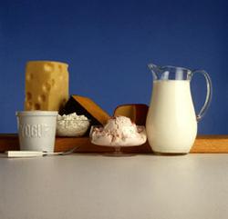 dairy